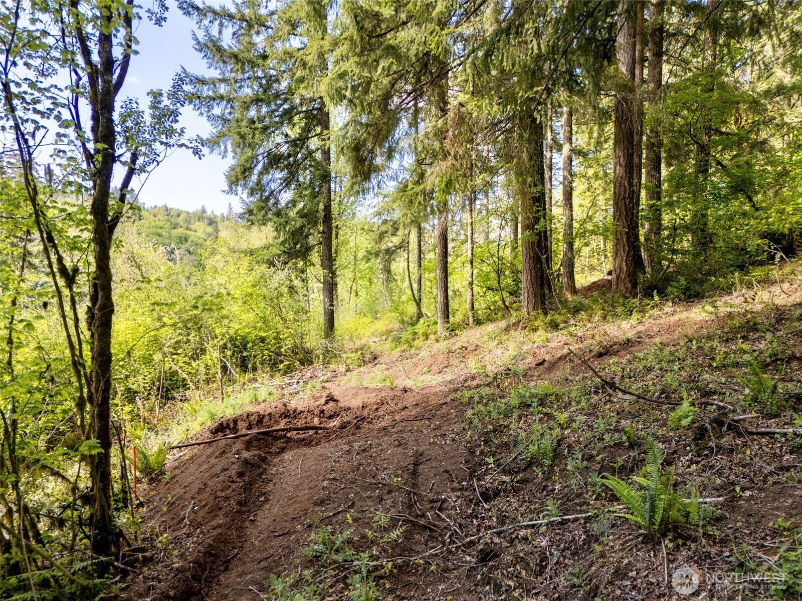 141 Old Spread Borough Road , Kalama, WA 98625