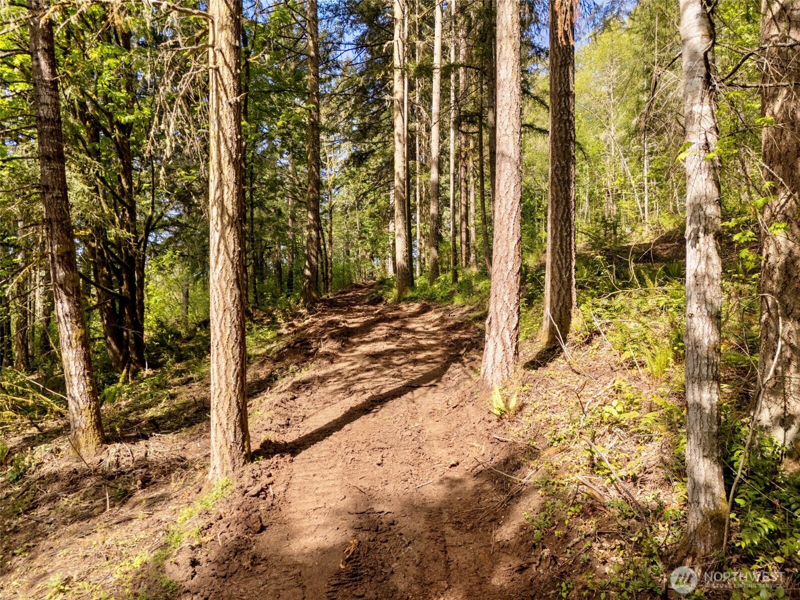 141 Old Spread Borough Road , Kalama, WA 98625