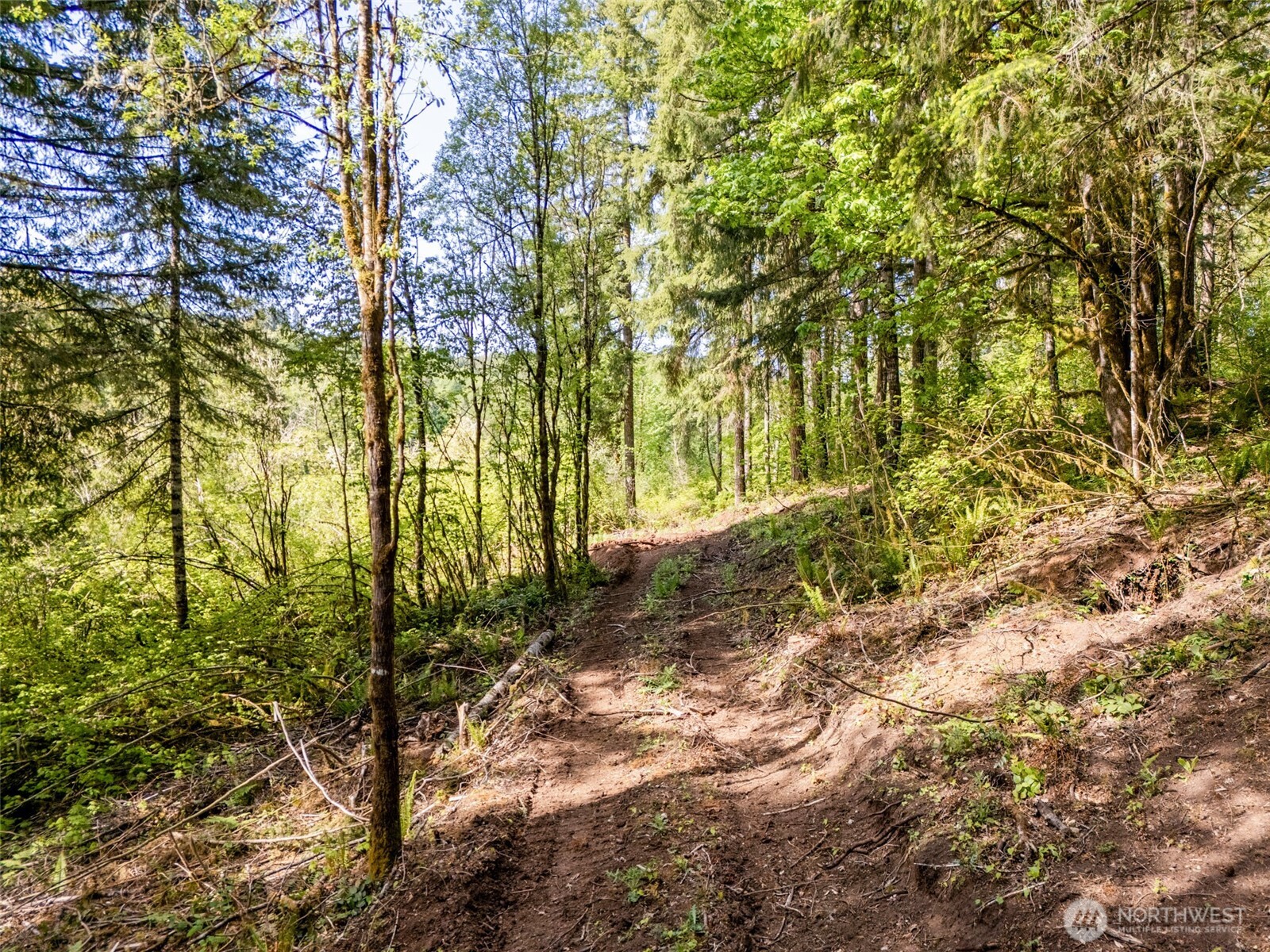 141 Old Spread Borough Road , Kalama, WA 98625