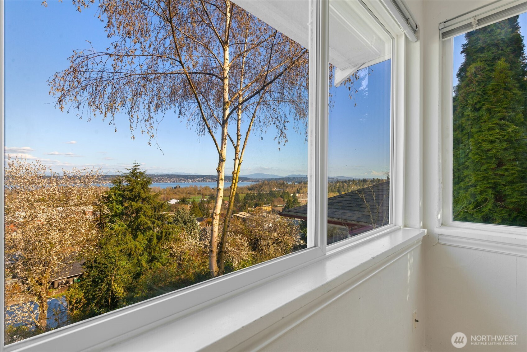 7508 56th Avenue NE, Seattle, WA 98115