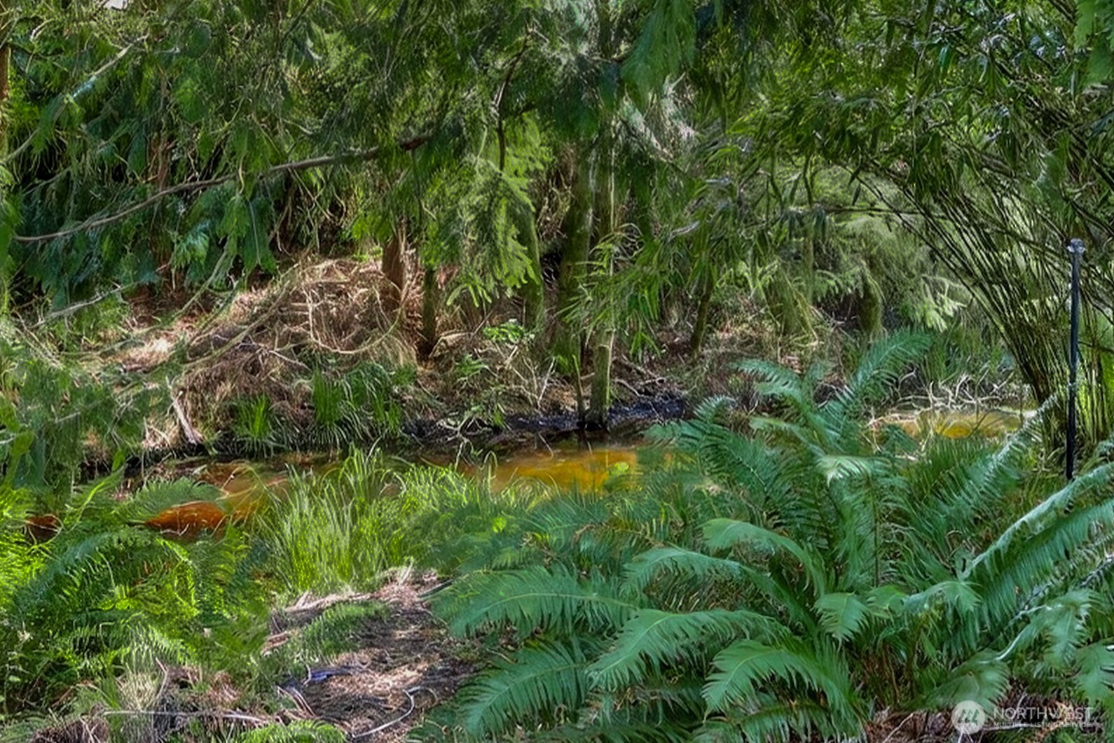 32216 T Place , Ocean Park, WA 98640