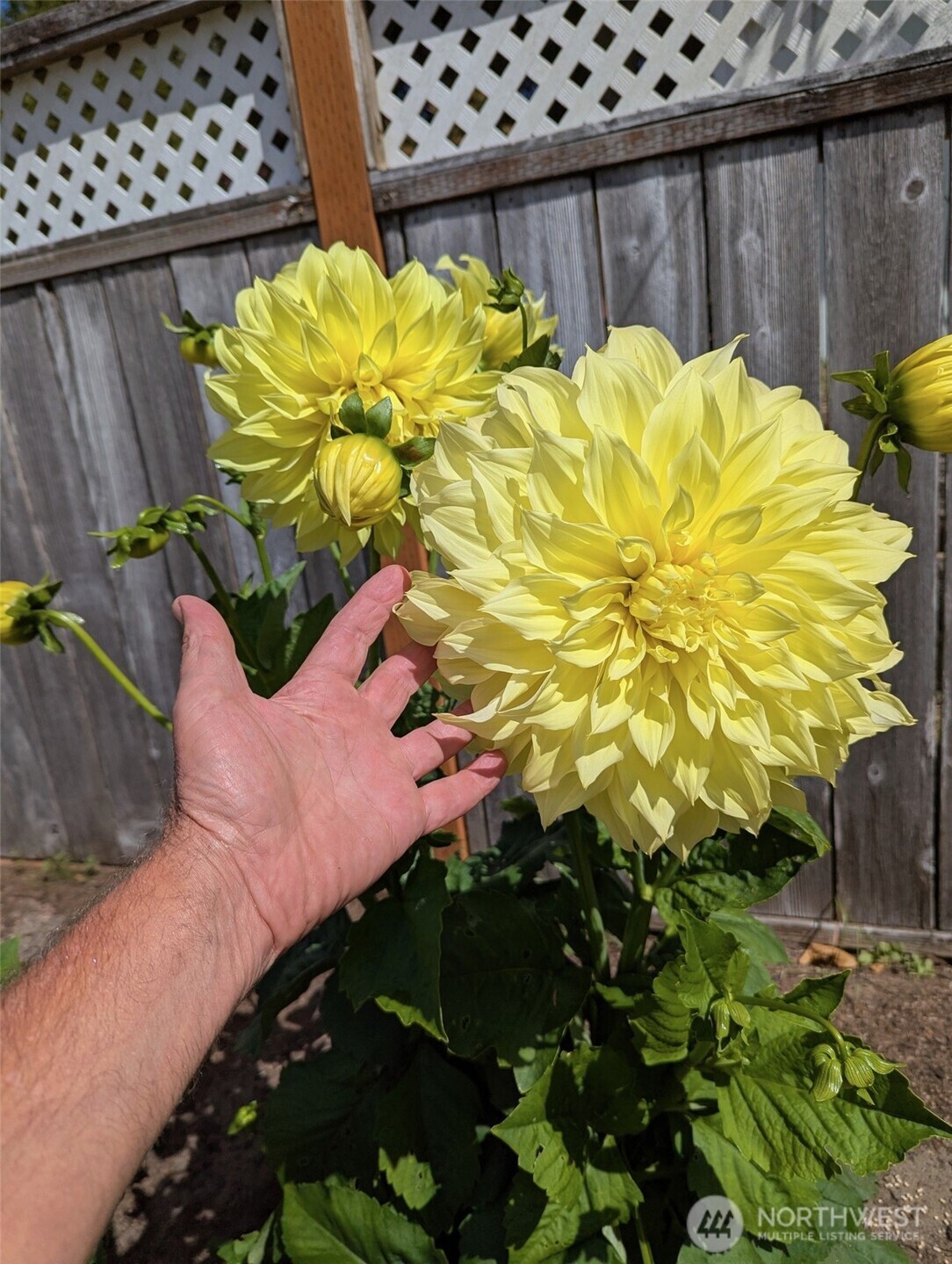 32216 T Place , Ocean Park, WA 98640