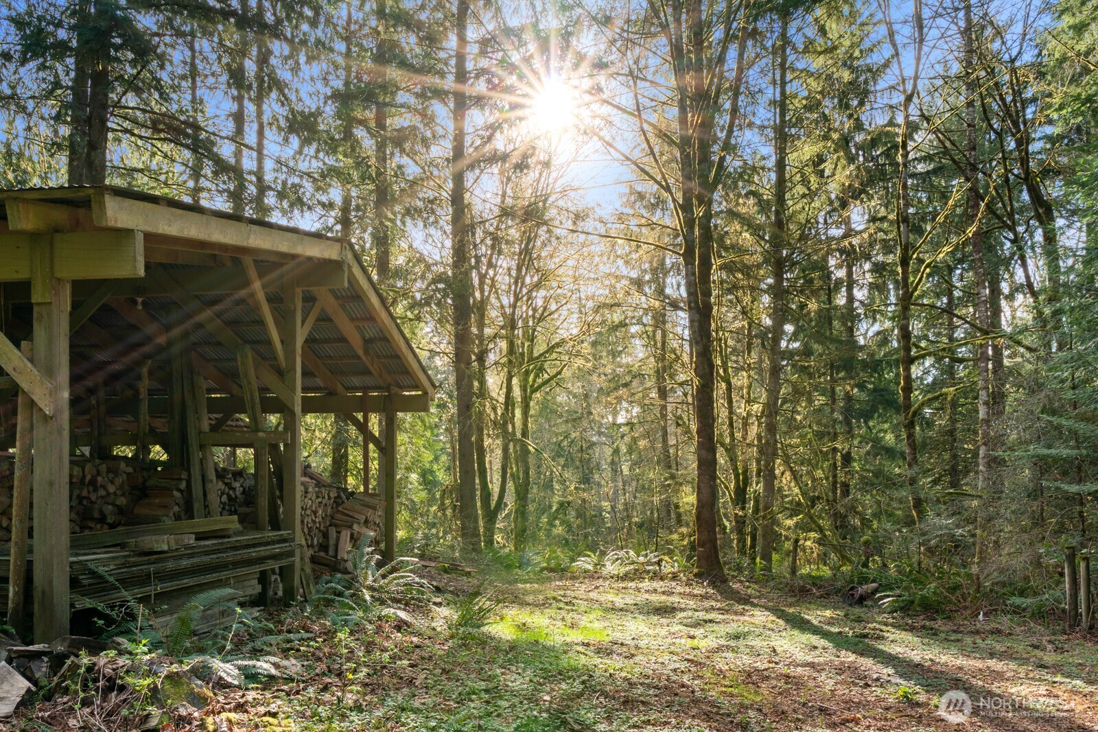 4817 288th Avenue NE, Redmond, WA 98053