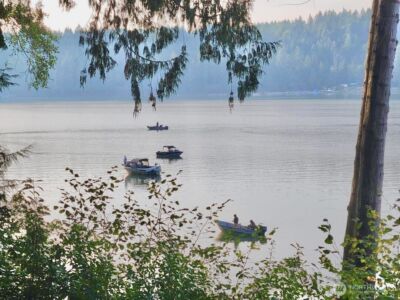 1341 E Beaver Avenue , Shelton, WA 98584 - Photo 26