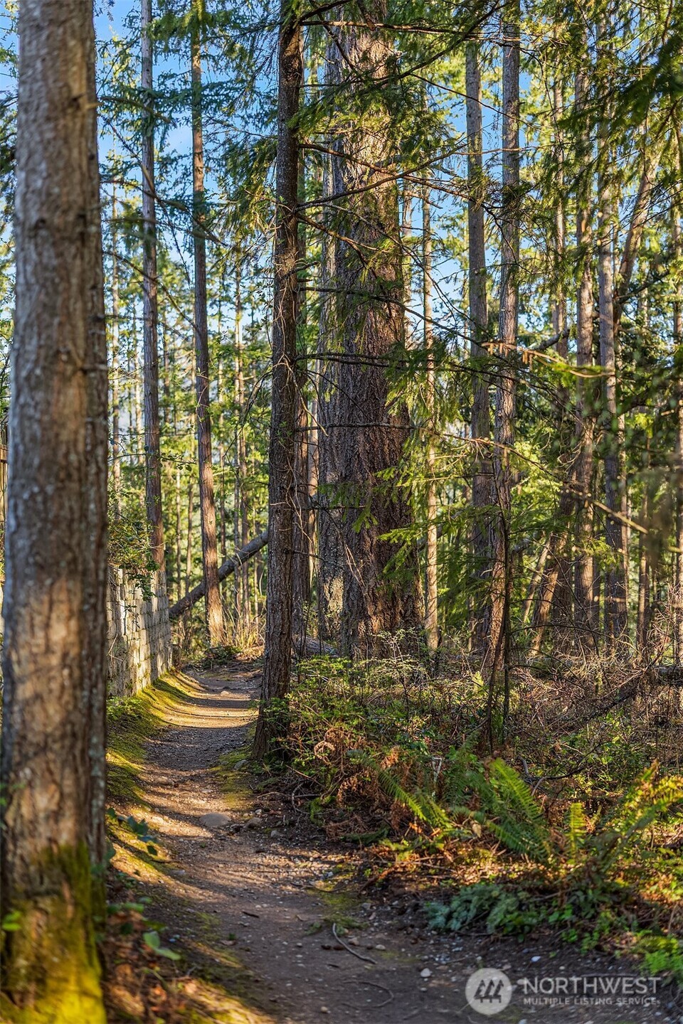 404 6th Lane NE, Issaquah, WA 98029