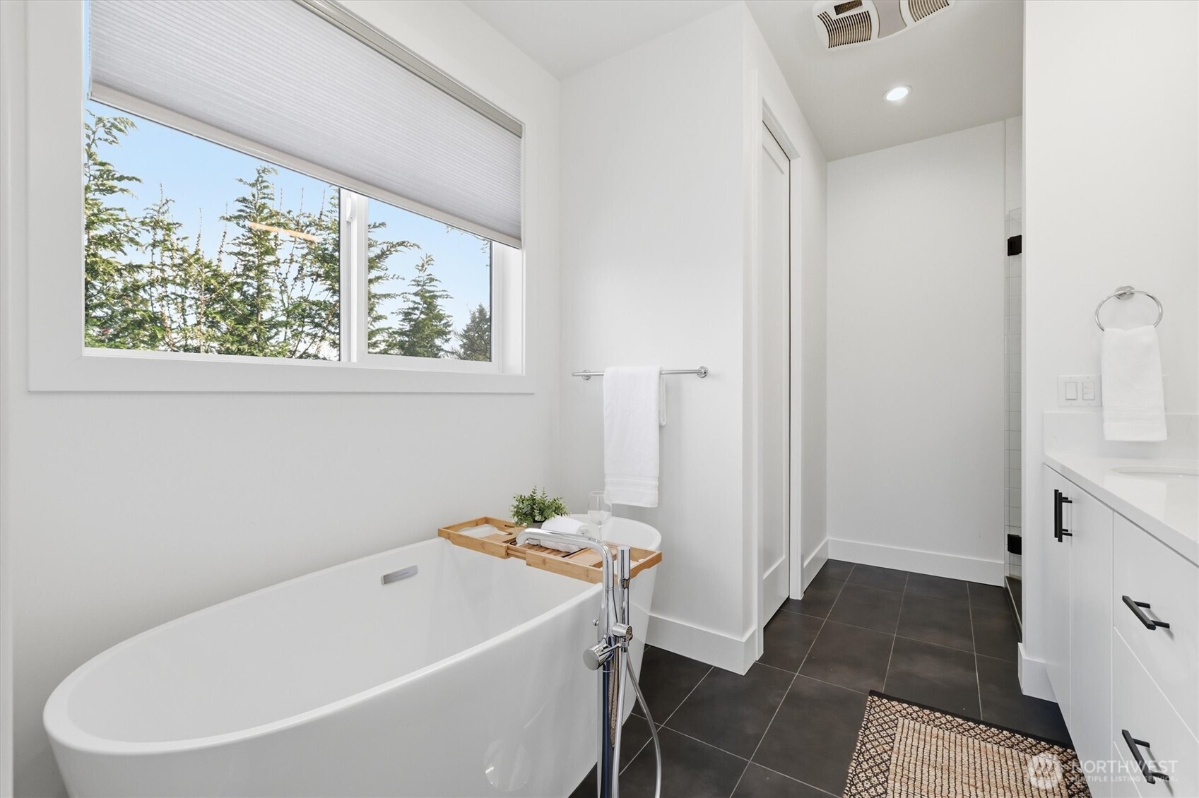 7354 Alonzo Ave NW, Seattle, WA 98117