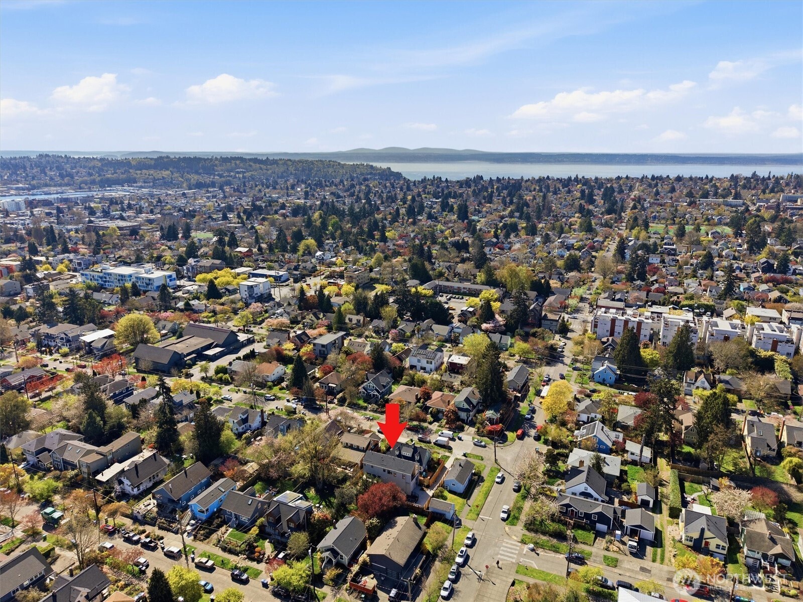 7354 Alonzo Ave NW, Seattle, WA 98117