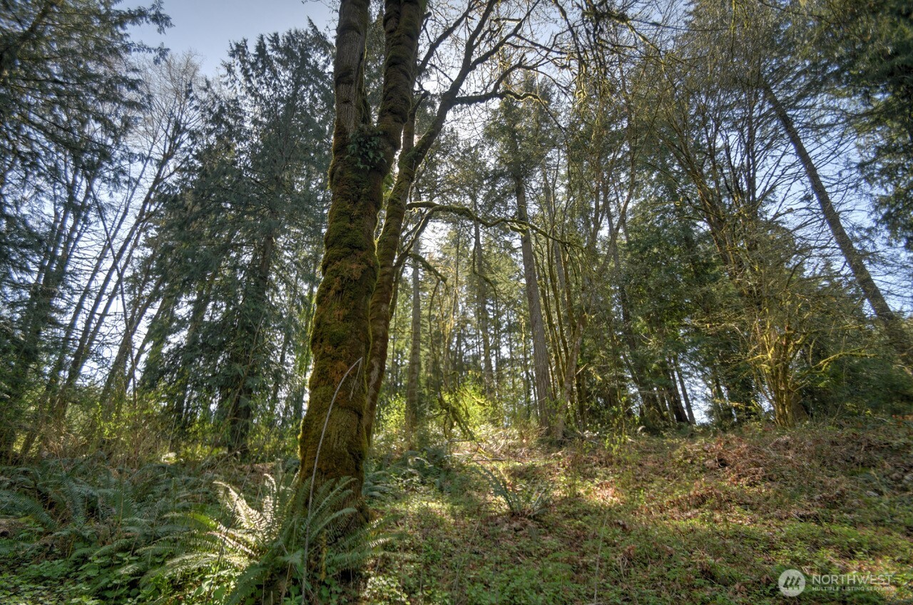 7640 Holiday Valley Drive NW, Olympia, WA 98502