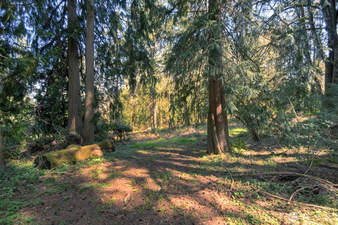 7640 Holiday Valley Drive NW, Olympia, WA 98502