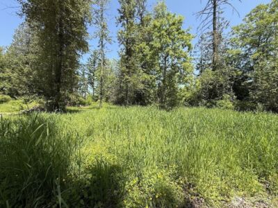 22110 70th Avenue E, Spanaway, WA 98387 - Photo 13