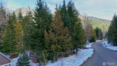 56 Snoqualmie Drive , Snoqualmie Pass, WA 98068 - Photo 5