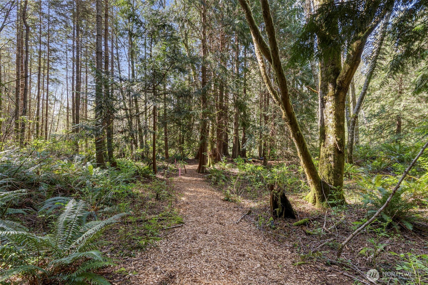 37060 Madrona Boulevard NE, Hansville, WA 98340