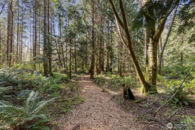 37060 Madrona Boulevard NE, Hansville, WA 98340 - Photo 3