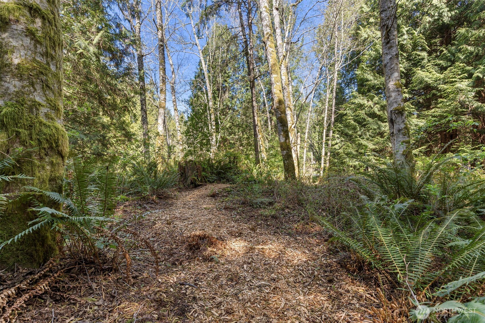 37060 Madrona Boulevard NE, Hansville, WA 98340