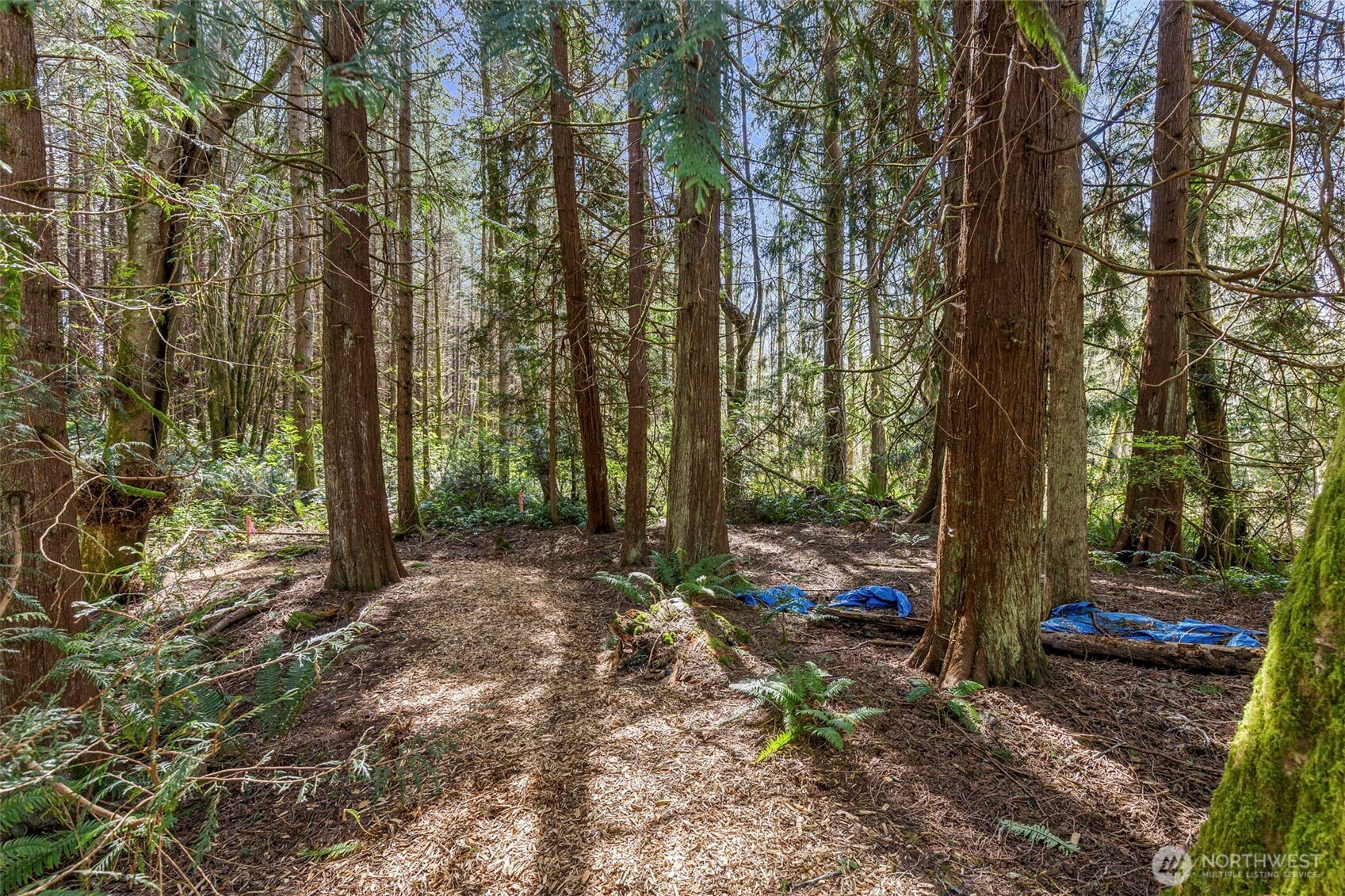 37060 Madrona Boulevard NE, Hansville, WA 98340