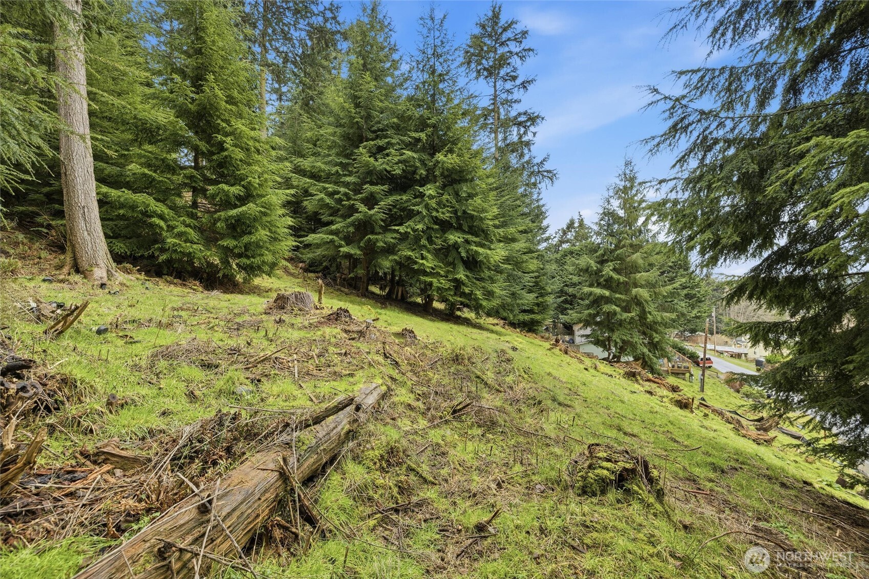5184 Ridgeline Place , Oak Harbor, WA 98277