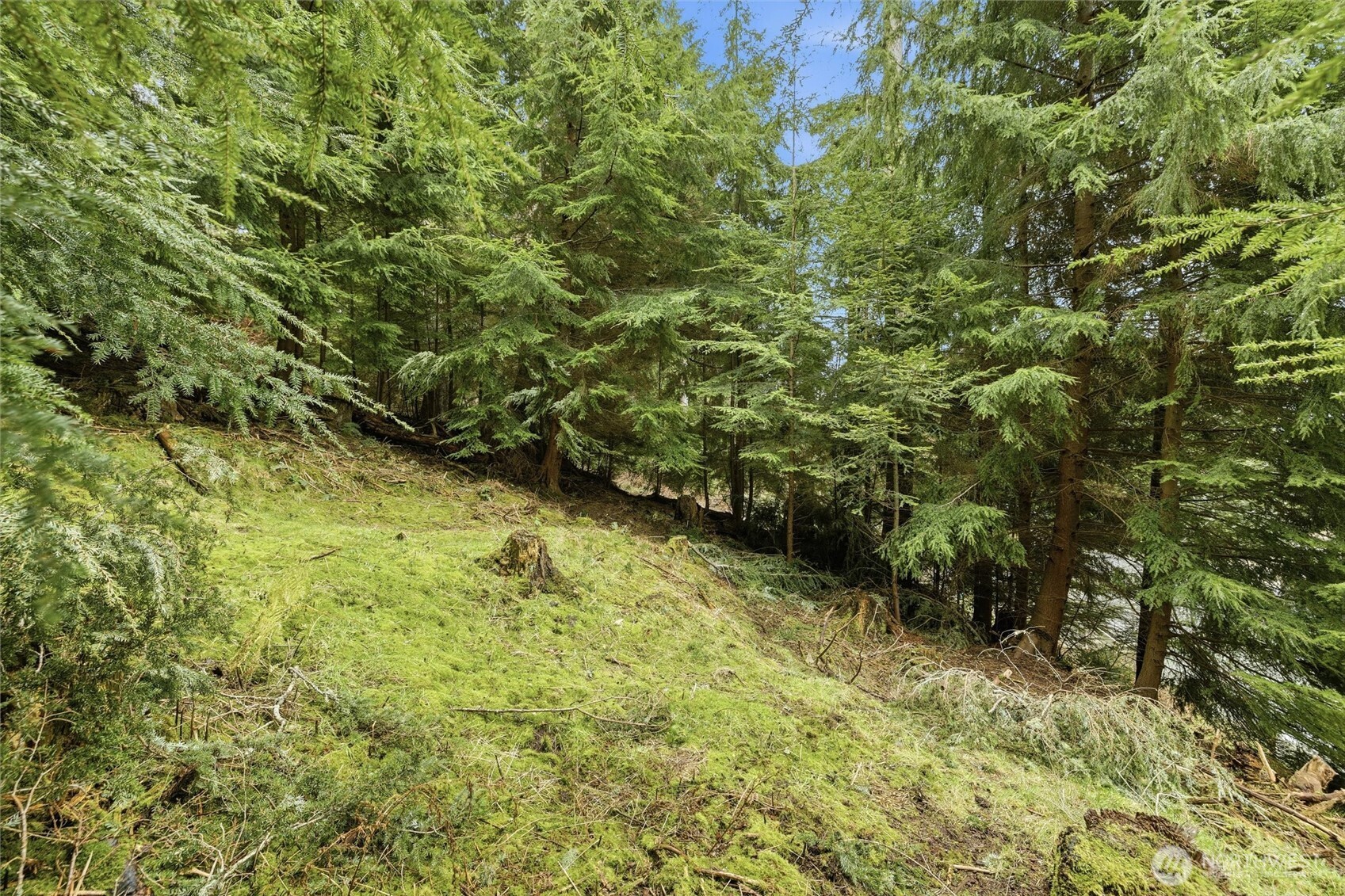 5184 Ridgeline Place , Oak Harbor, WA 98277