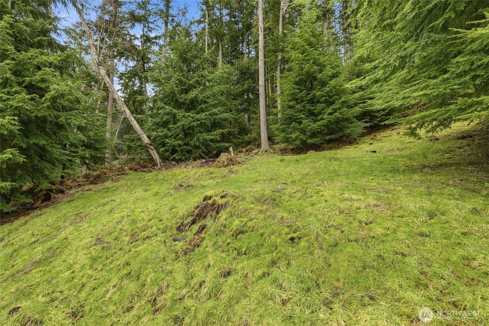 5184 Ridgeline Place , Oak Harbor, WA 98277