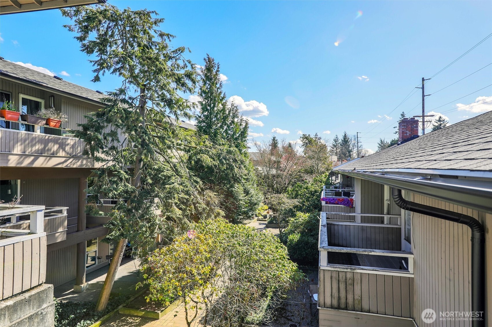 952 100th Avenue NE #236, Bellevue, WA 98004