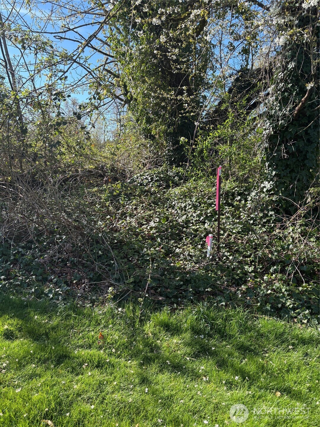 2421 98th Avenue Ct E, Edgewood, WA 98371
