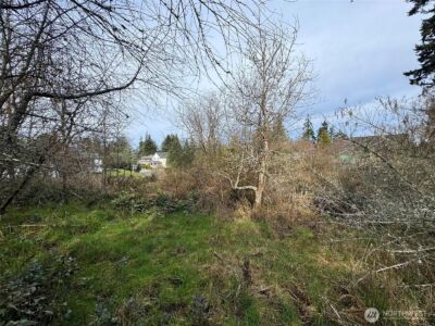 9999 W 8th Street , Port Angeles, WA 98363 - Photo 15