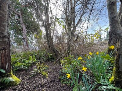9999 W 8th Street , Port Angeles, WA 98363 - Photo 16