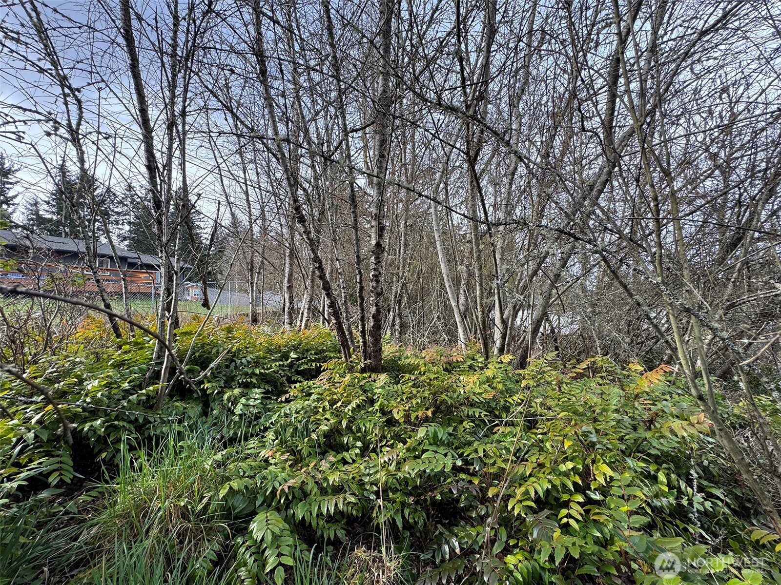 9999 W 8th Street , Port Angeles, WA 98363