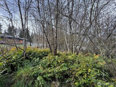 9999 W 8th Street , Port Angeles, WA 98363 - Photo 17