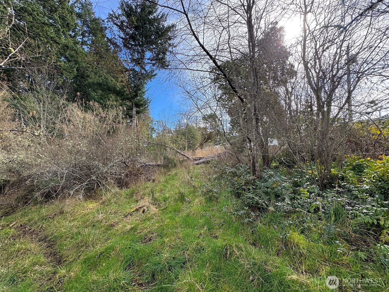 9999 W 8th Street , Port Angeles, WA 98363
