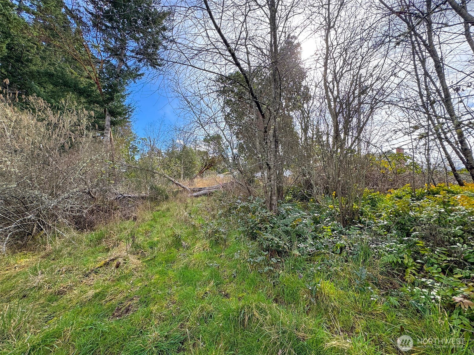 9999 W 8th Street , Port Angeles, WA 98363