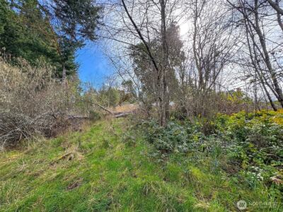9999 W 8th Street , Port Angeles, WA 98363 - Photo 19