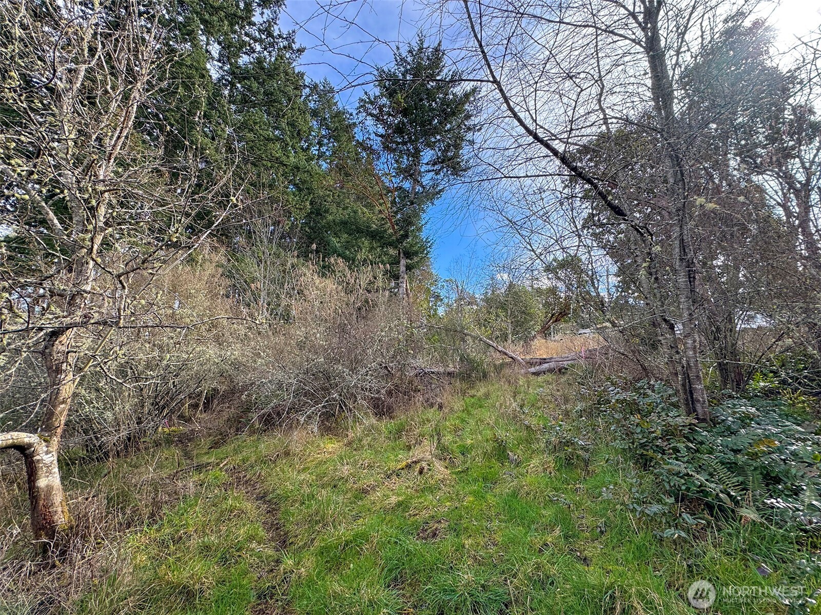 9999 W 8th Street , Port Angeles, WA 98363