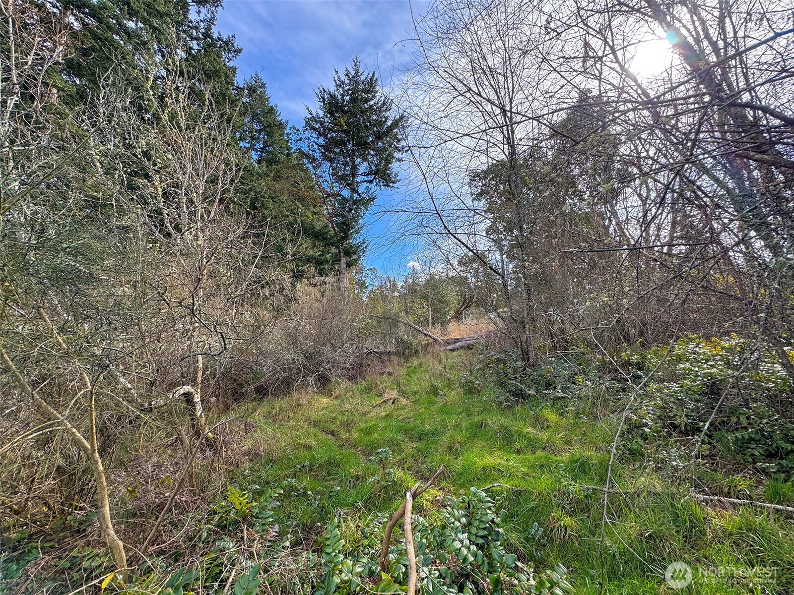 9999 W 8th Street , Port Angeles, WA 98363