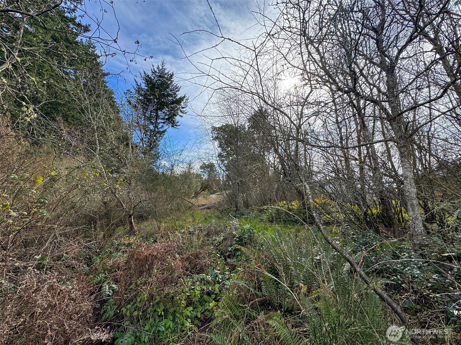 9999 W 8th Street , Port Angeles, WA 98363
