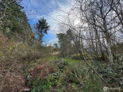 9999 W 8th Street , Port Angeles, WA 98363 - Photo 22