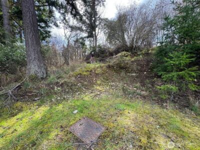 9999 W 8th Street , Port Angeles, WA 98363 - Photo 6