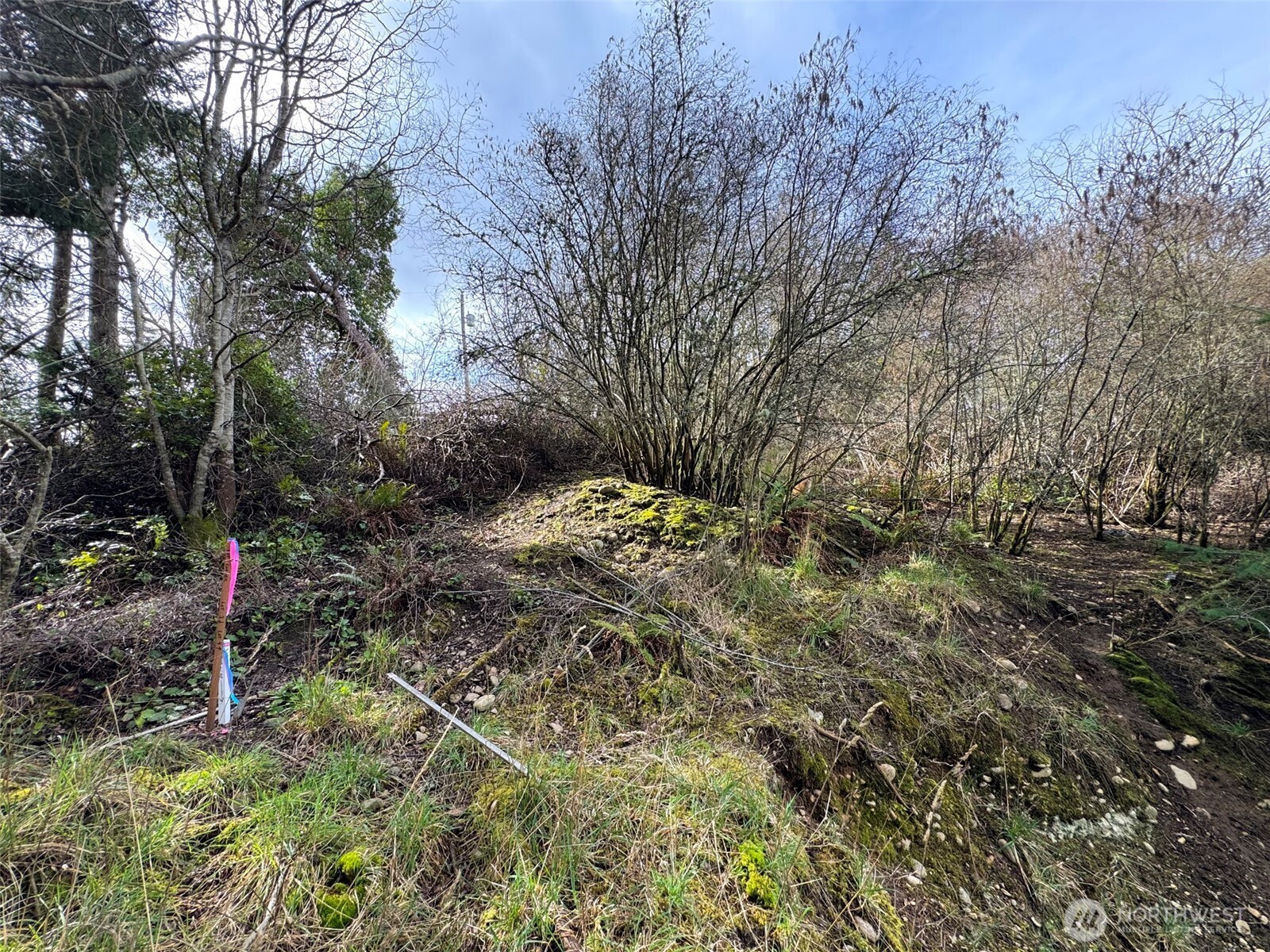 9999 W 8th Street , Port Angeles, WA 98363