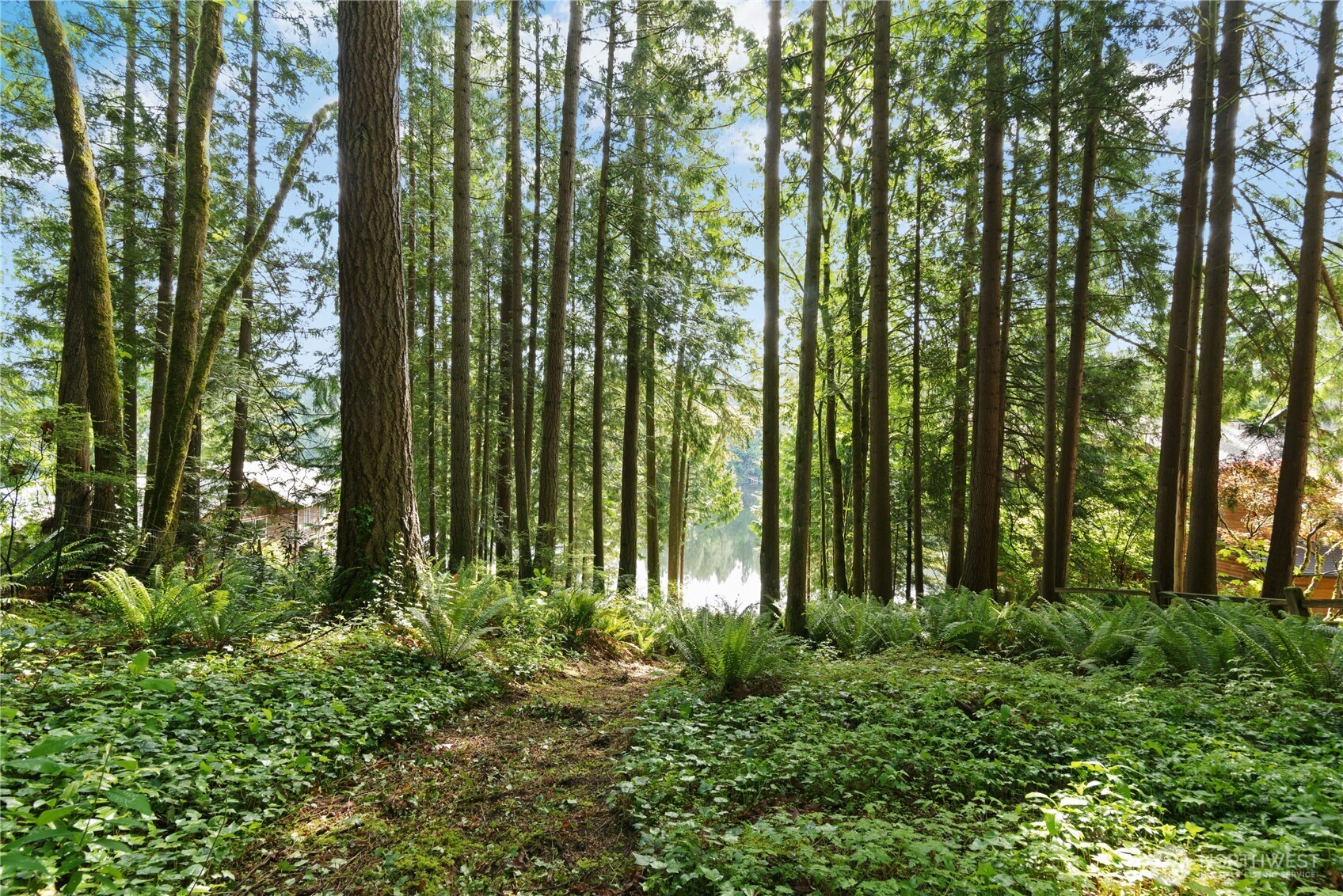 3304 W Ames Lake Drive NE, Redmond, WA 98053