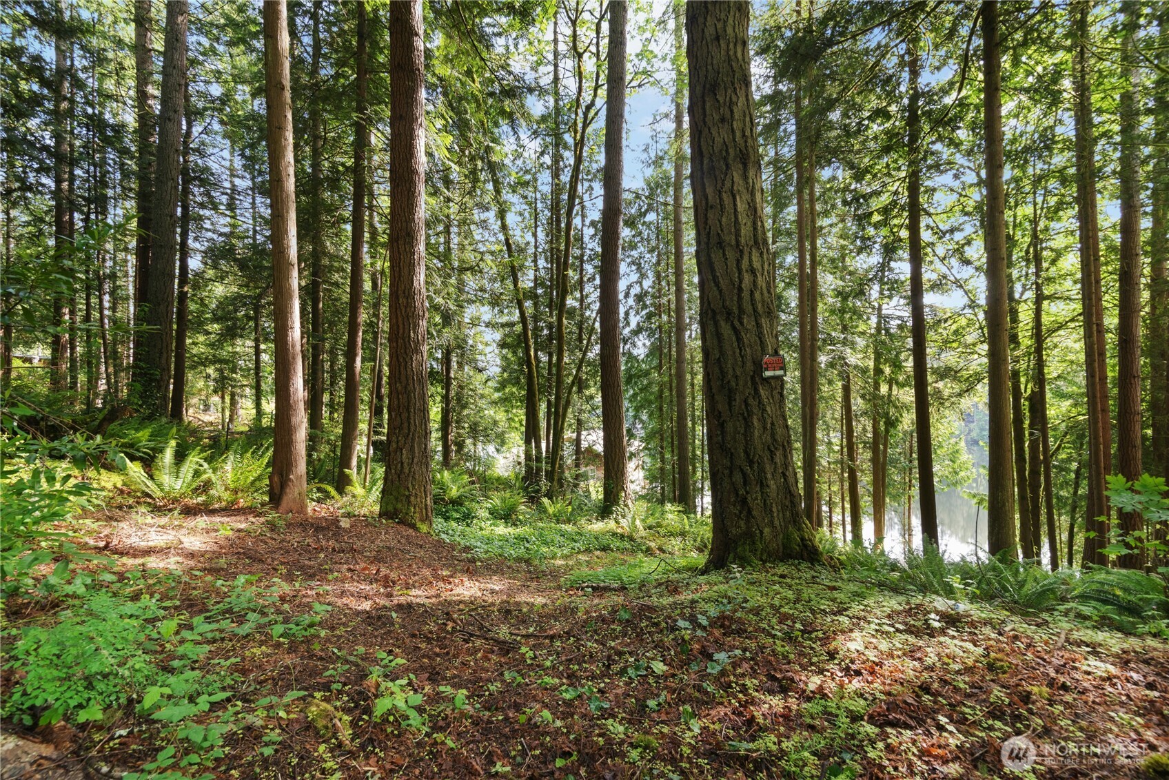 3304 W Ames Lake Drive NE, Redmond, WA 98053