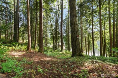 3304 W Ames Lake Drive NE, Redmond, WA 98053 - Photo 8