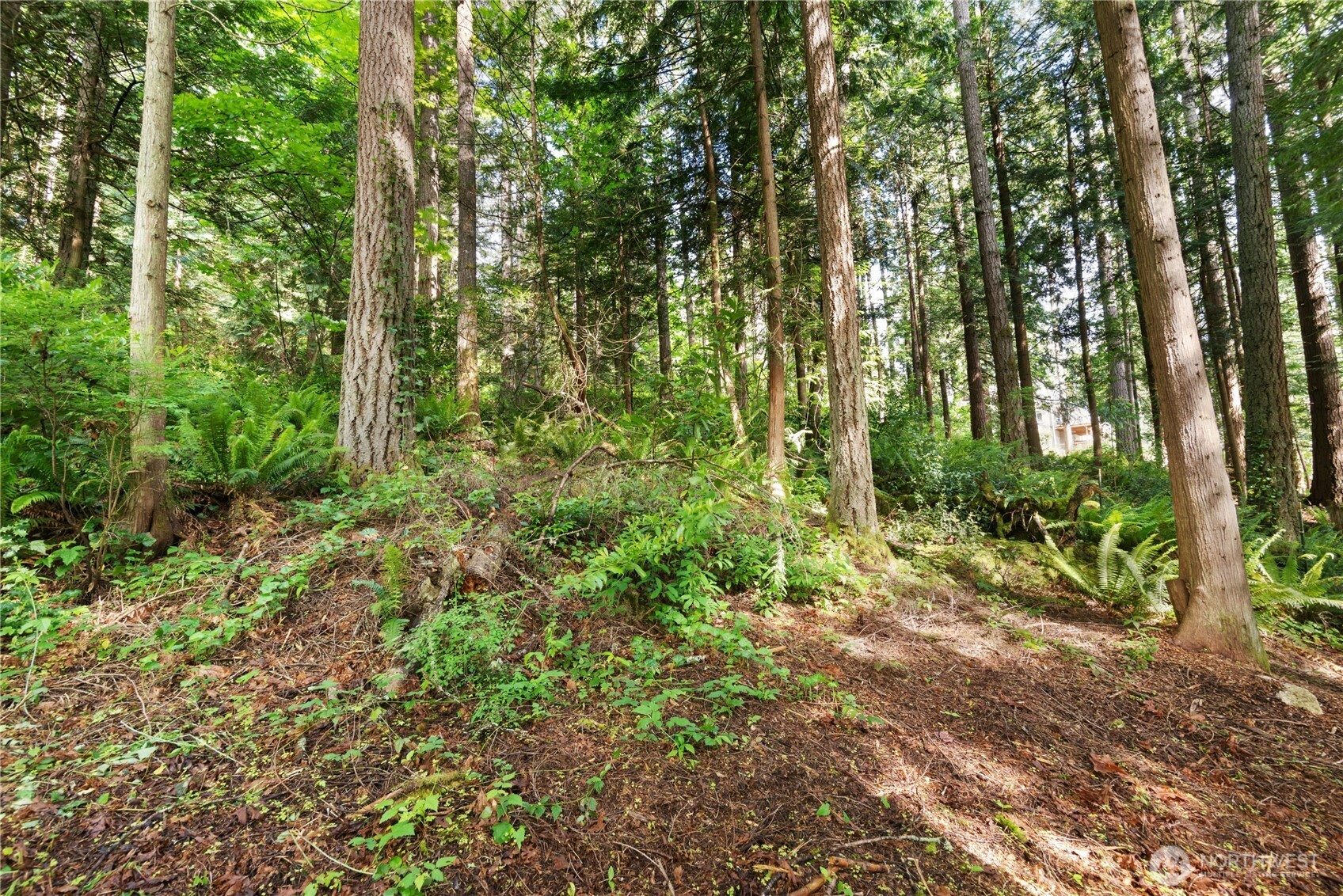 3304 W Ames Lake Drive NE, Redmond, WA 98053