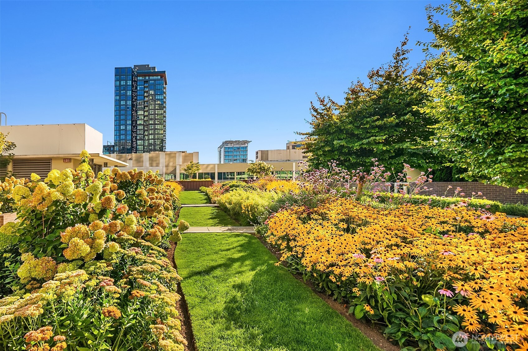 588 Bell Street #2502S, Seattle, WA 98121