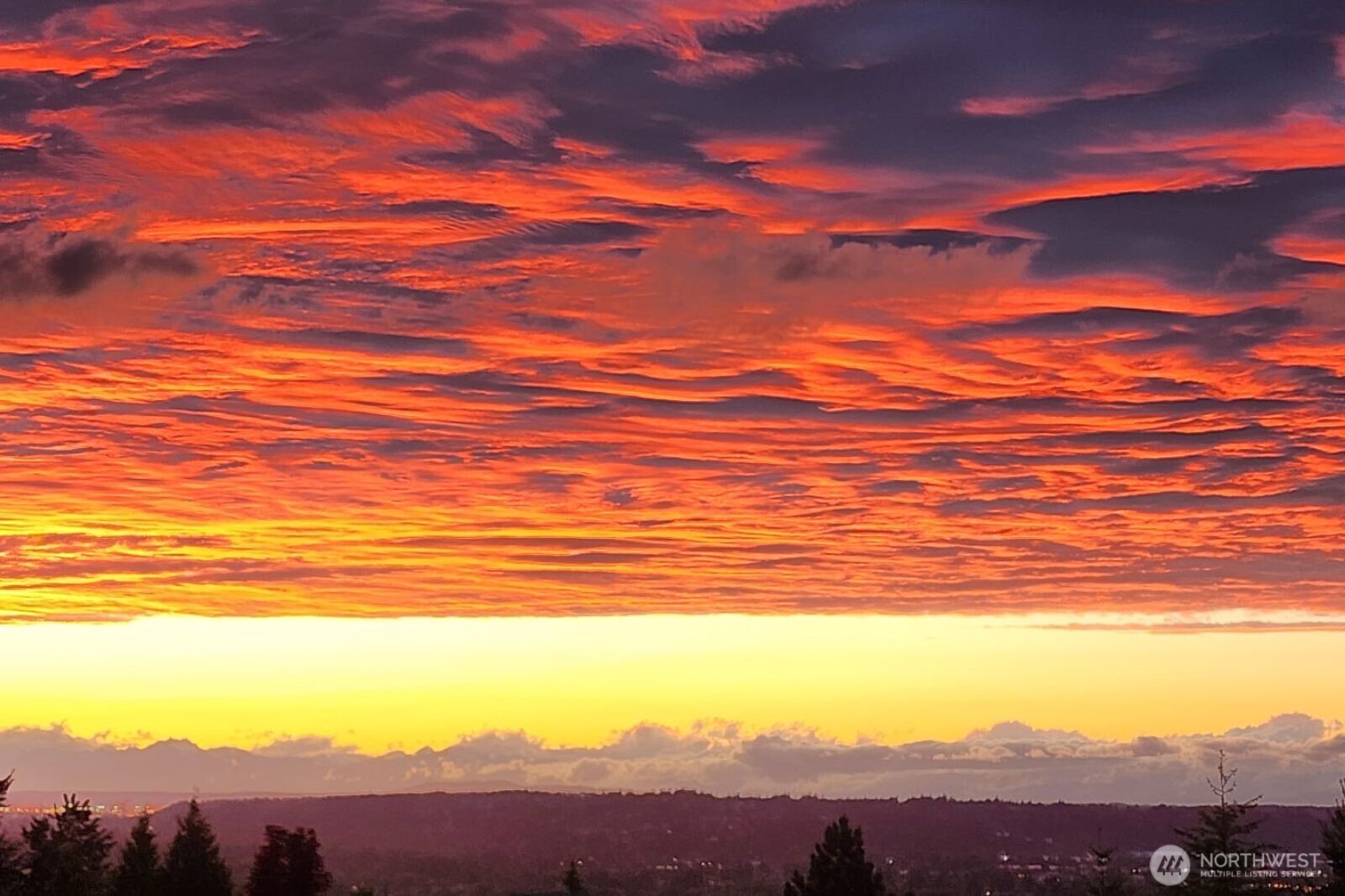 17806 106th Street E, Bonney Lake, WA 98391