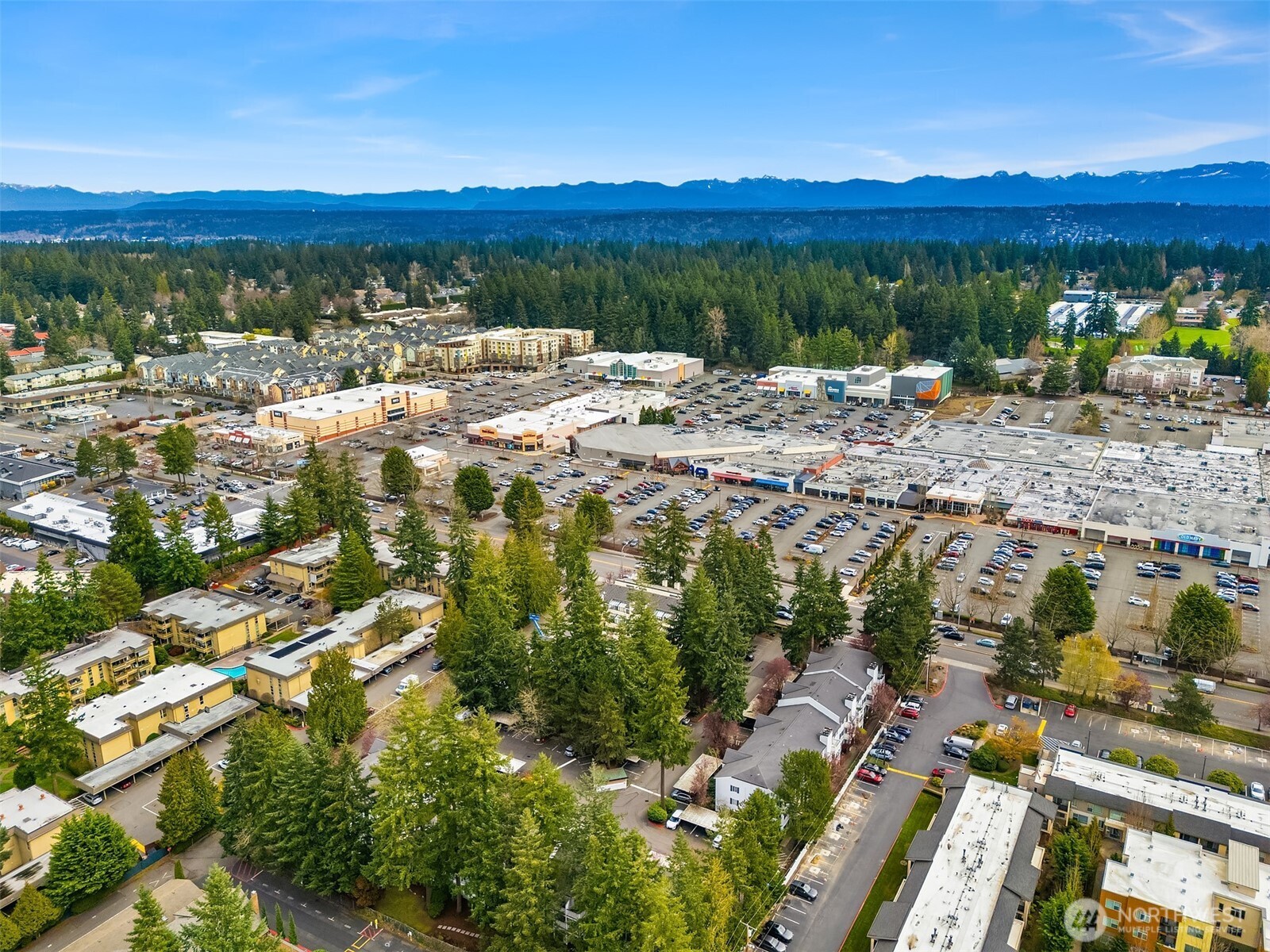 1011 156 Avenue NE #B-209, Bellevue, WA 98007