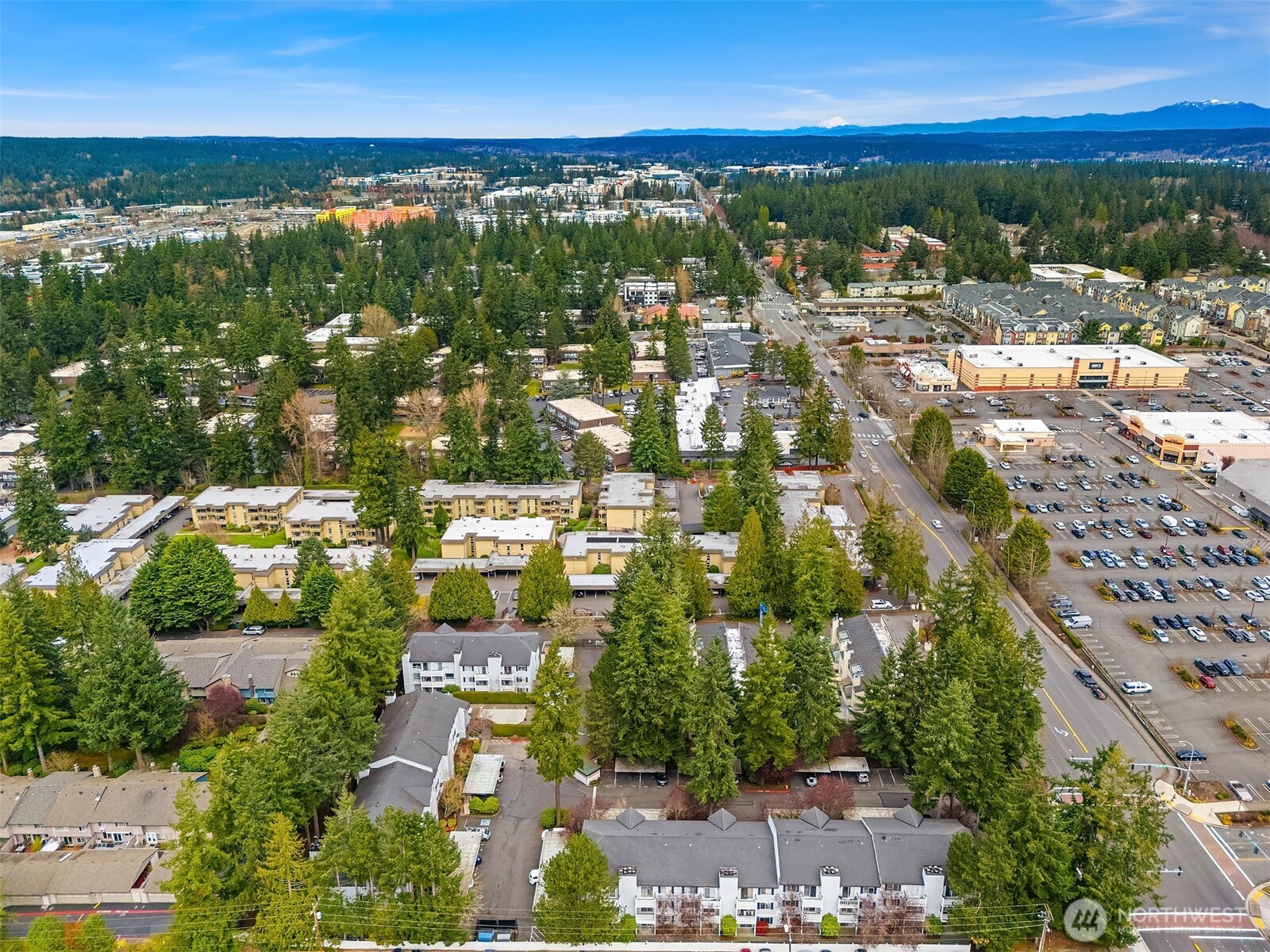 1011 156 Avenue NE #B-209, Bellevue, WA 98007