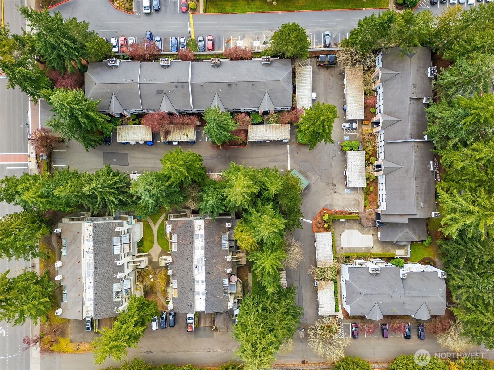 1011 156 Avenue NE #B-209, Bellevue, WA 98007