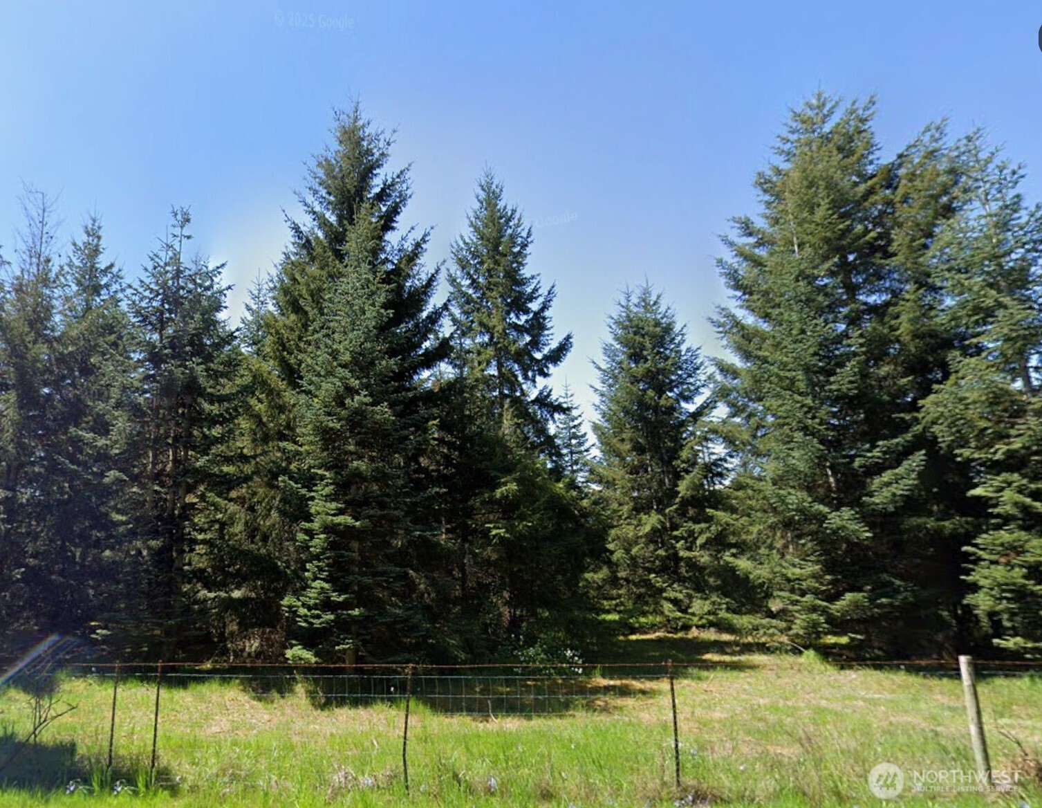 18601 Loganberry Street SW, Rochester, WA 98579