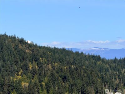 13998 Donnell Rd , Anacortes, WA 98221 - Photo 29
