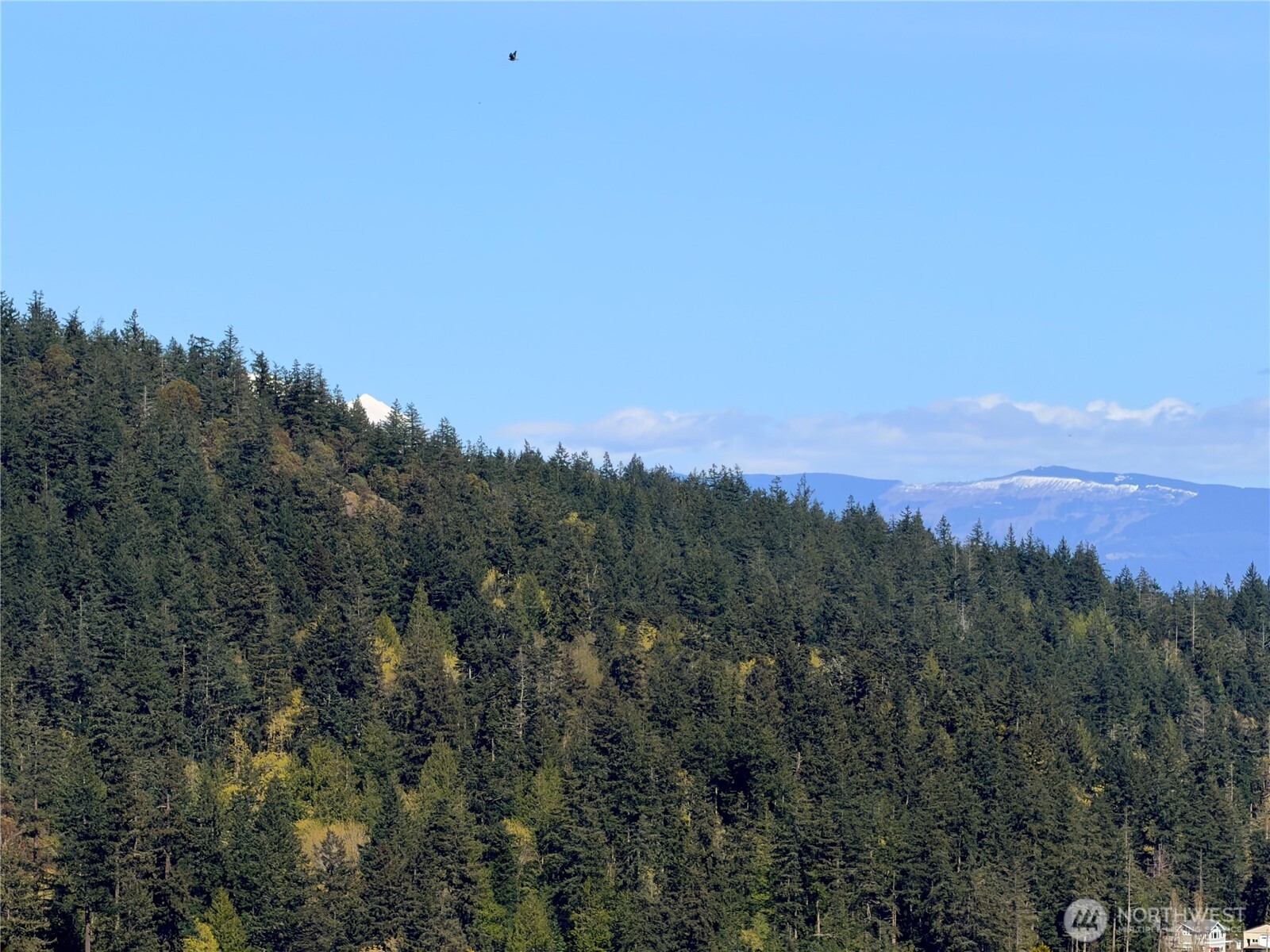 13998 Donnell Rd , Anacortes, WA 98221
