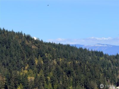 13998 Donnell Rd , Anacortes, WA 98221 - Photo 30